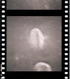AS15-97-13282