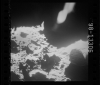 AS15-98-13306