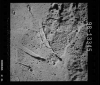 AS15-98-13345
