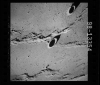 AS15-98-13354