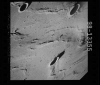 AS15-98-13355