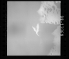 AS15-98-13369