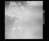 AS15-98-13390