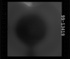 AS15-99-13419