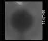 AS15-99-13421