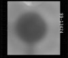 AS15-99-13424