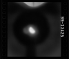 AS15-99-13425