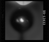 AS15-99-13433