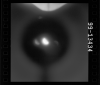 AS15-99-13434