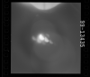 AS15-99-13435