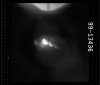 AS15-99-13436