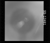 AS15-99-13481