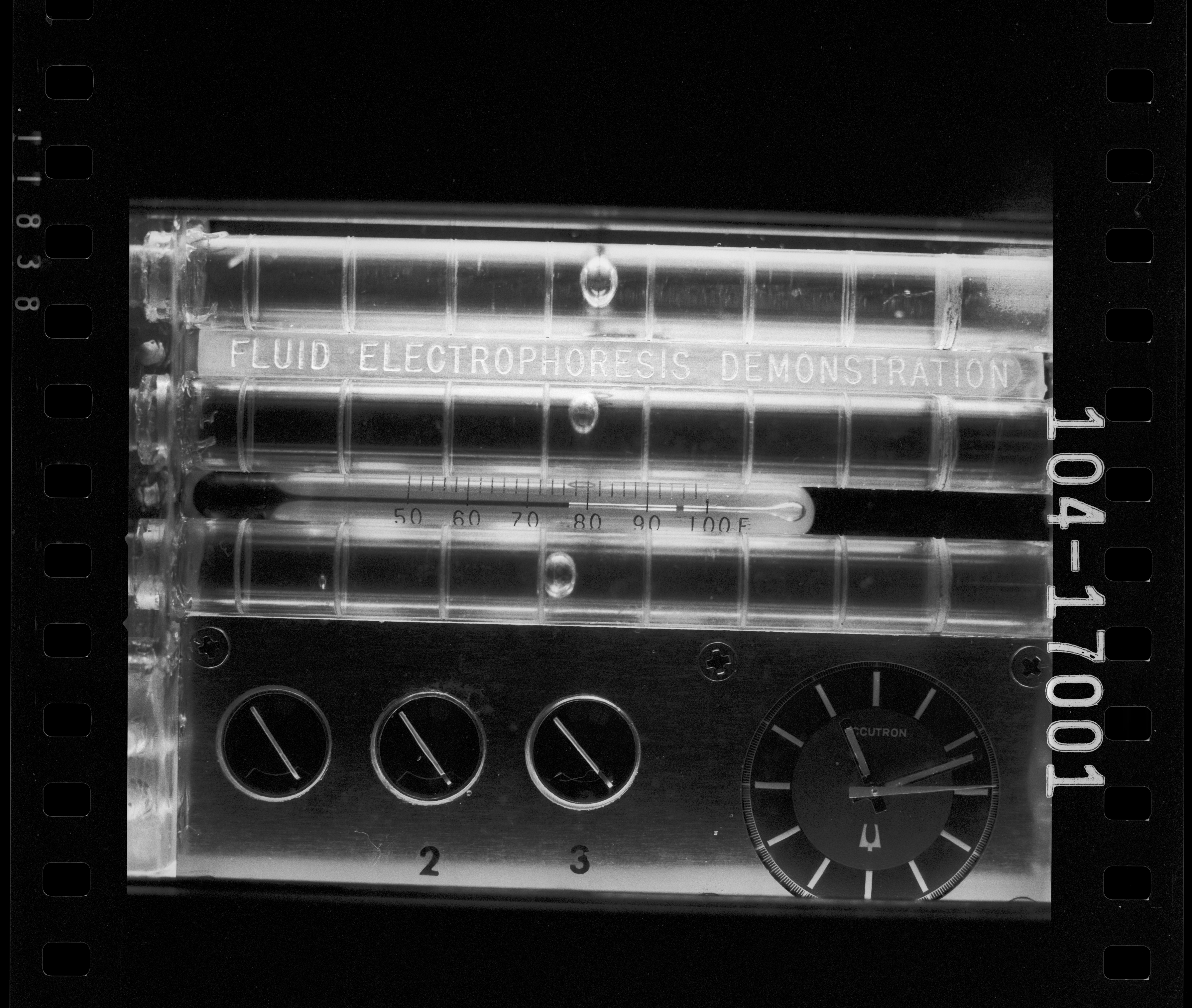 ELECTROPHORESIS EXPERIMENT