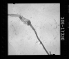AS16-106-17330