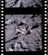 AS16-107-17444