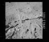 AS16-109-17842