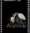 AS16-113-18337