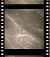 AS16-118-19012