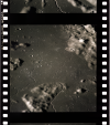 AS16-119-19169