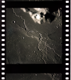 AS16-119-19176