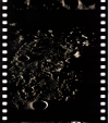 AS16-120-19343