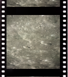 AS16-121-19383