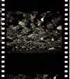 AS16-122-19463