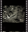 AS16-122-19481