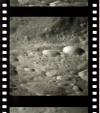 AS16-122-19515