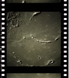 AS16-122-19543