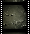 AS16-122-19547