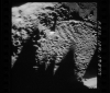 AS16-124-19845