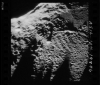 AS16-124-19846
