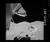 AS17-136-20810