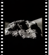 AS17-140-21418