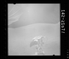 AS17-142-21677