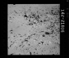 AS17-142-21806