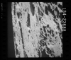 AS17-154-23688