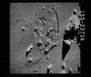 AS17-155-23734