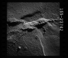 AS17-155-23742