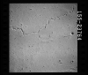 AS17-155-23764