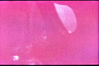 GT4-37149-024_G04-U