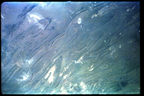 GT5-50602-040_G05-U