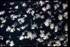 GT5-50602-046_G05-U