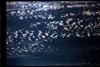 GT5-50603-008_G05-U