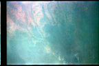 GT5-50603-009_G05-U