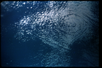 GT5-50603-033_G05-U