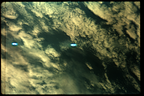 GT5-50603-039_G05-U