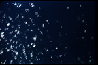 GT5-50603-041_G05-U