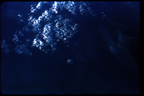 GT5-50603-044_G05-U